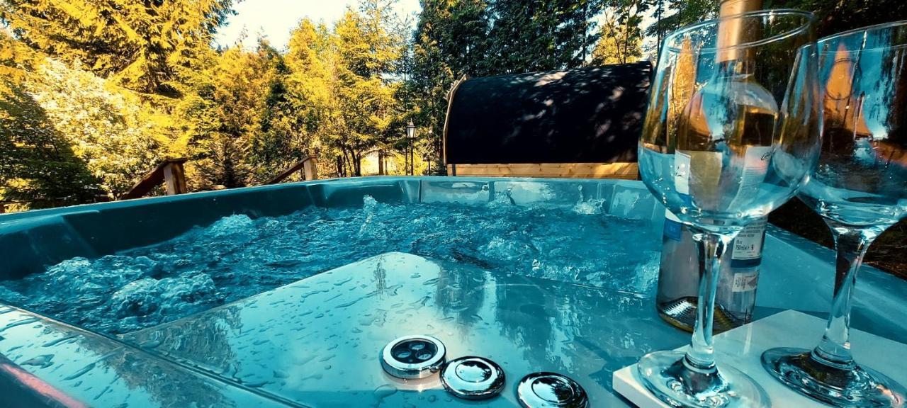 Apartament Widokowy Z Jacuzzi I Sauna Na Wylacznosc - Sikorowka - Dobre Miejsce Wisła Exterior foto